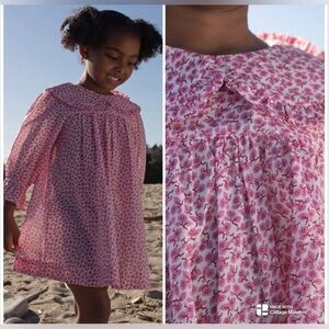 Doen Carine Dress in cosmic hillside bloom NWT